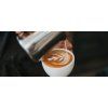 Sage BES875BKR  THE BARISTA EXPRESS™